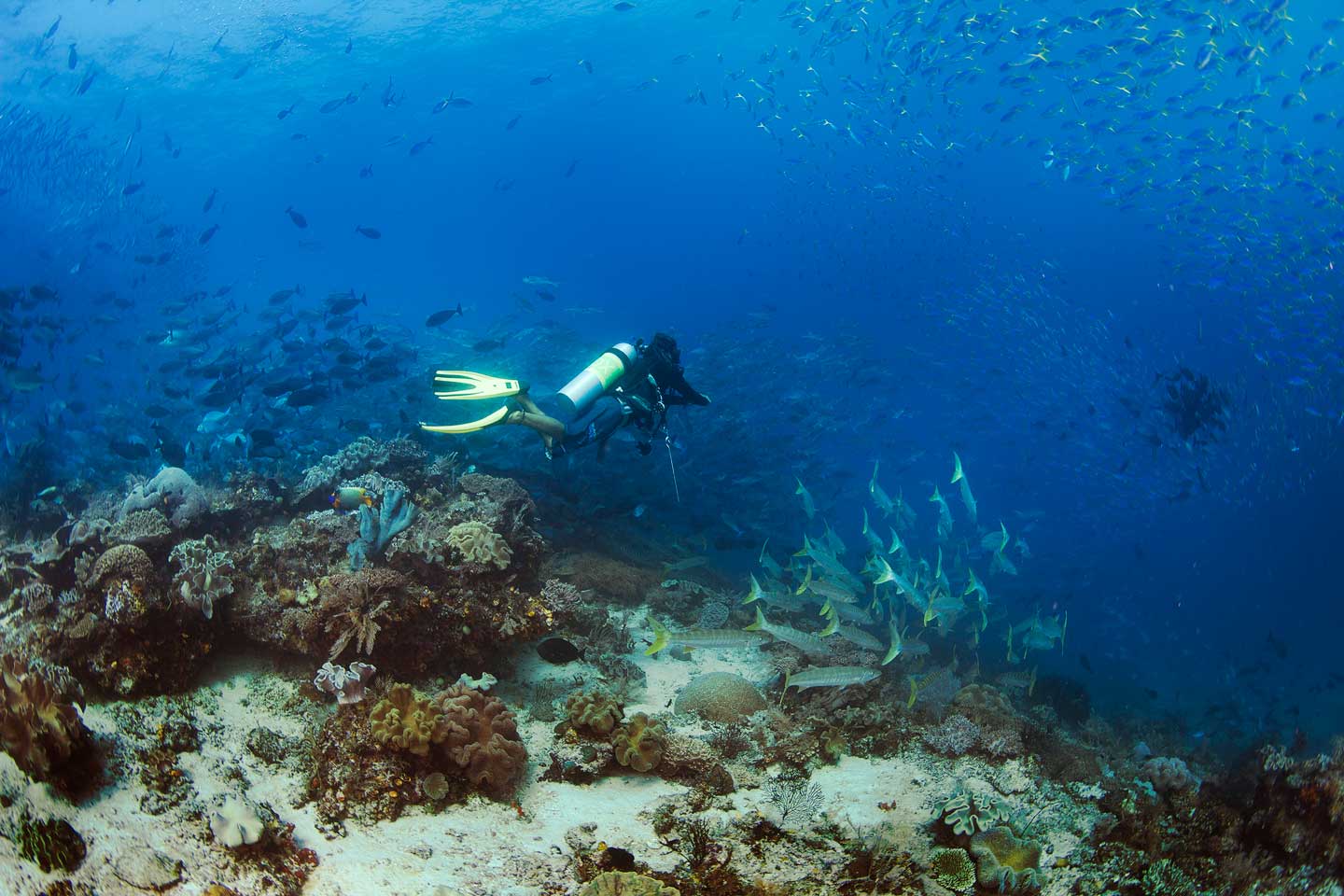 PADI dive center