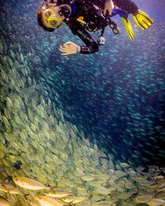 Papua Eco Resort Diving