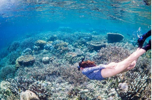 dive sites in Raja Ampat