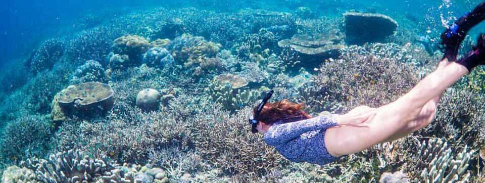 Snorkeling in raja ampat