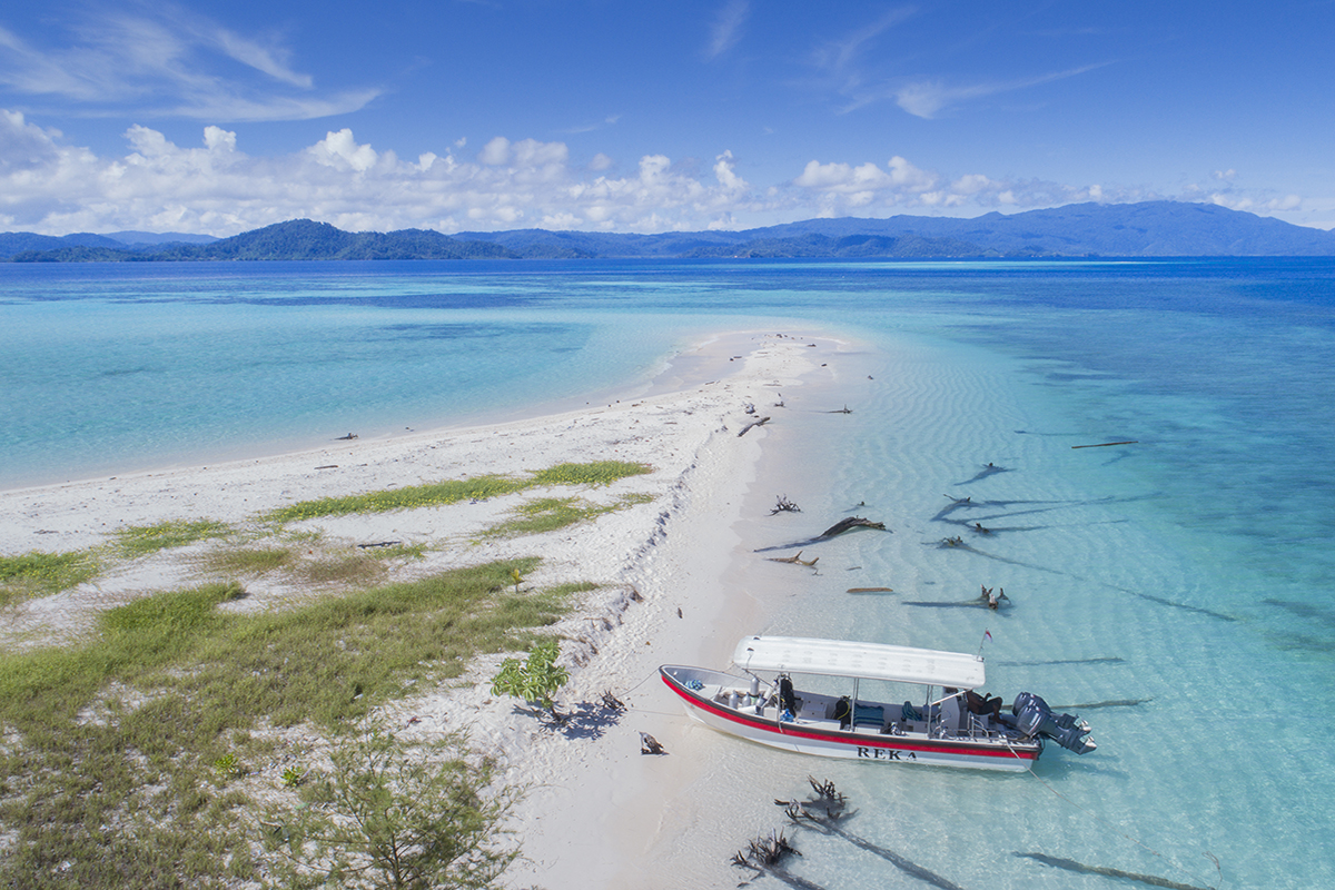 Conservation in Raja Ampat