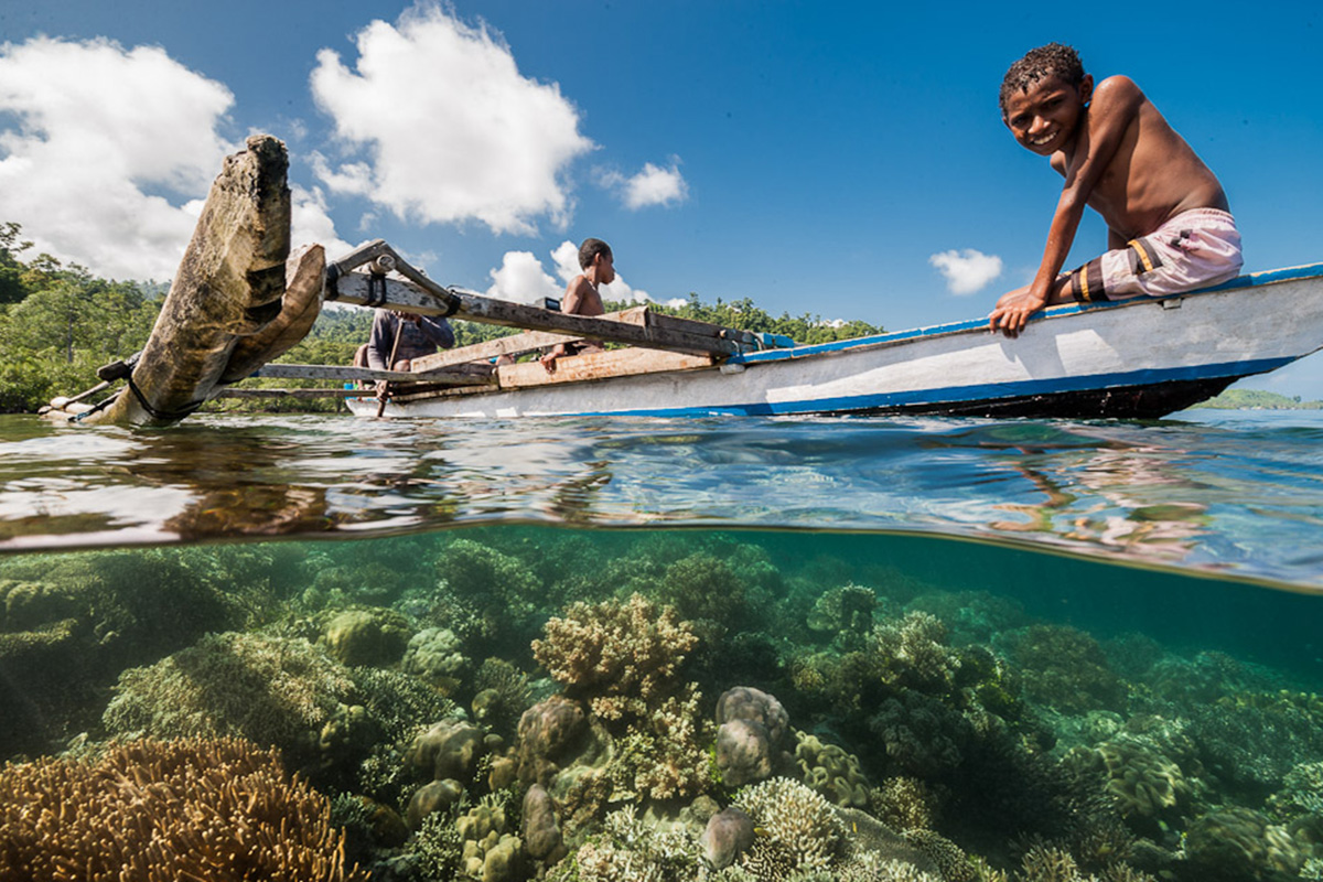 Species to Look Out for While Diving in Raja Ampat