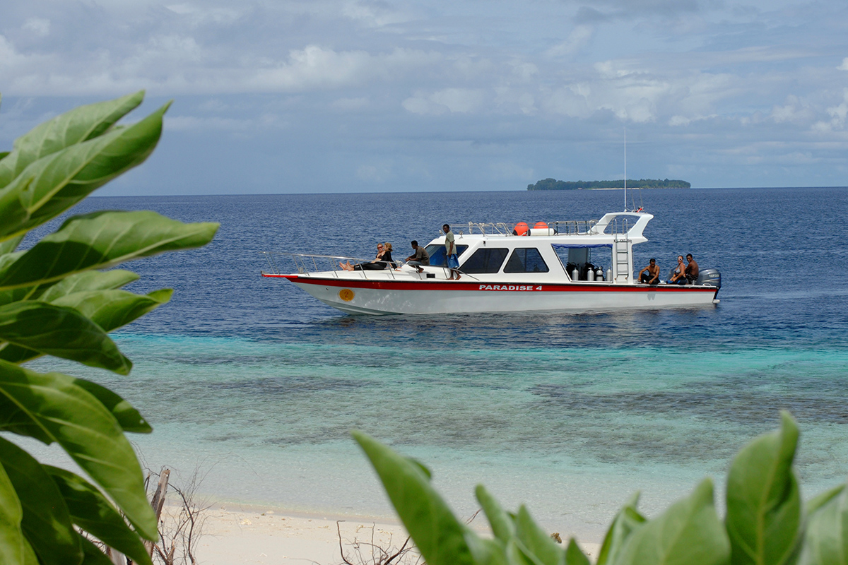 Diving in Raja Ampat with Gangga Divers