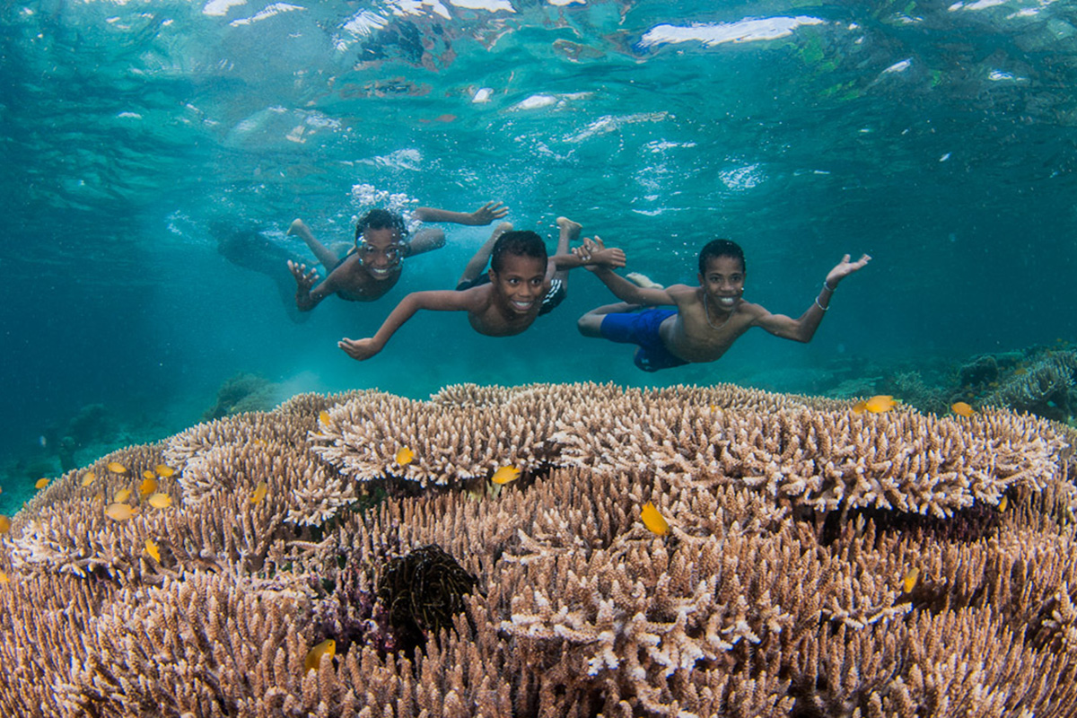What is the 'Coral Triangle'? | Papua Paradise
