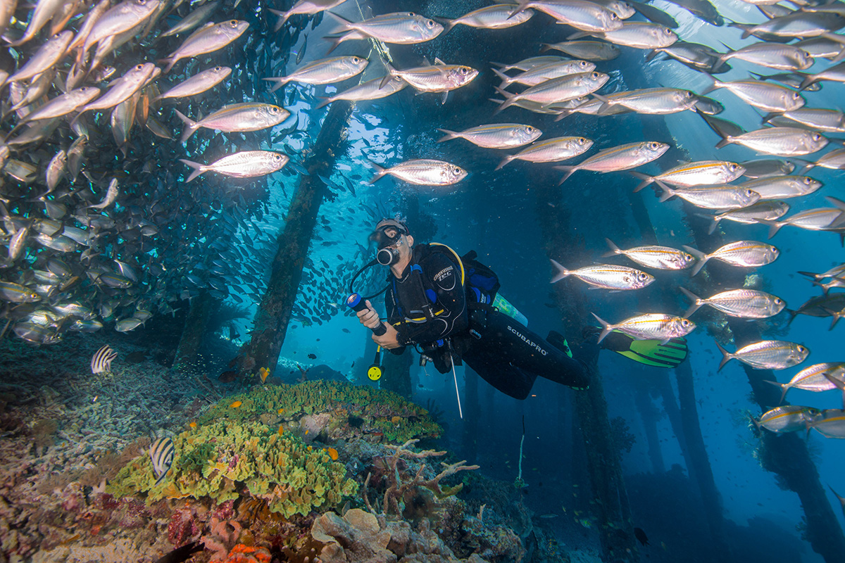 Diving the Dampier Strait in Raja Ampat