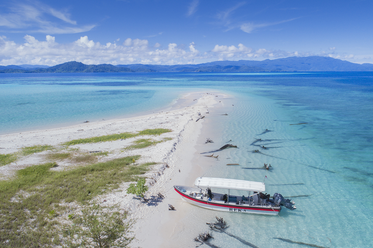 When is the Best Time to Dive in Raja Ampat?