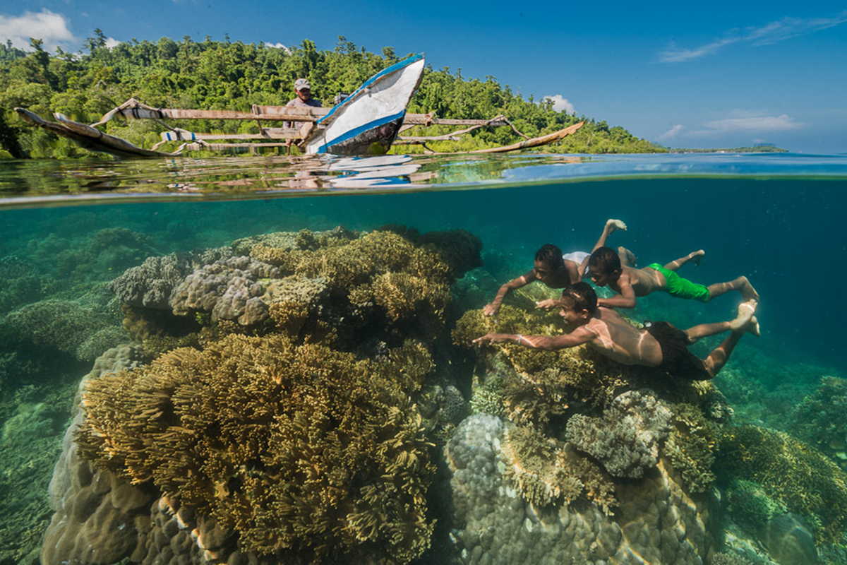 Visiting Raja Ampat Marine Park