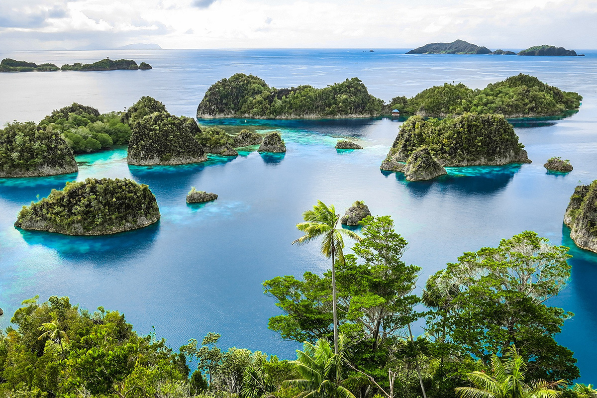 Spend a Day at the Fam Islands in Raja Ampat