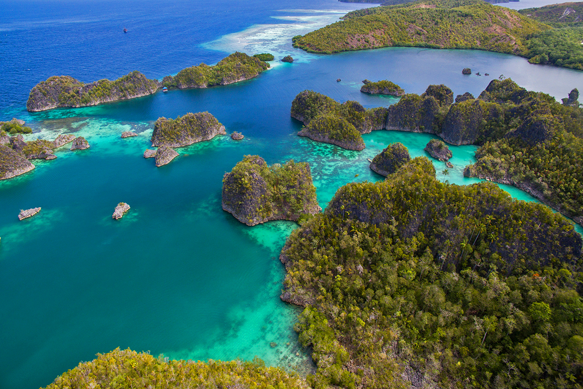 Spend a Day at the Fam Islands in Raja Ampat