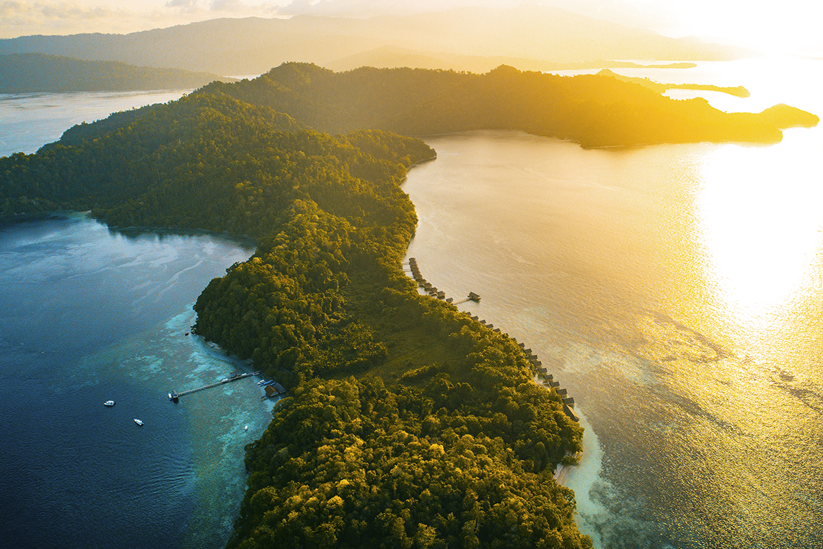 Searching for the Endemic Species of Raja Ampat