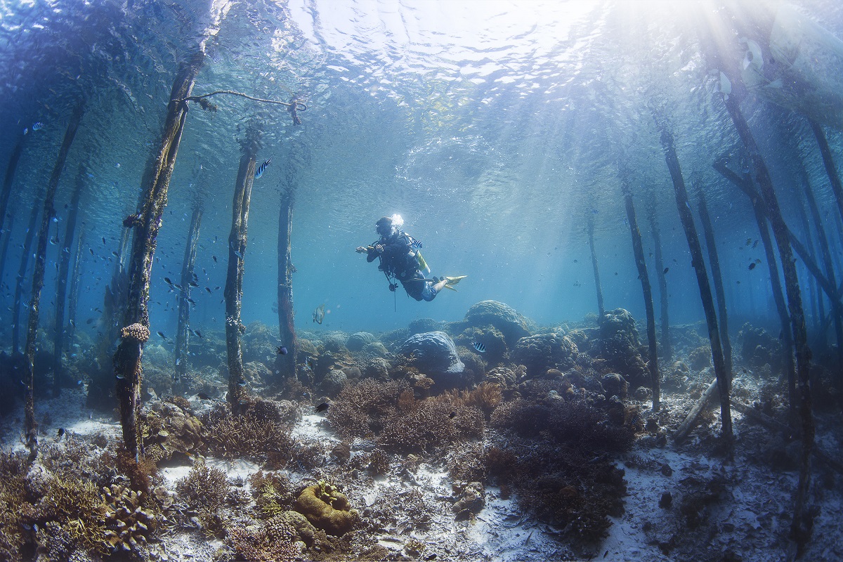 Diving Raja Amapat with Gangga Divers