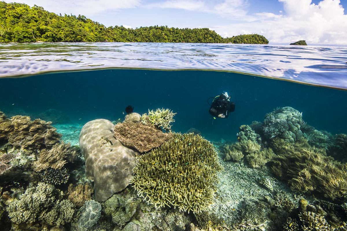 Tourism and Conservation in Raja Ampat