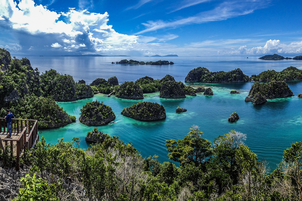 Piaynemo Islands in Raja Ampat