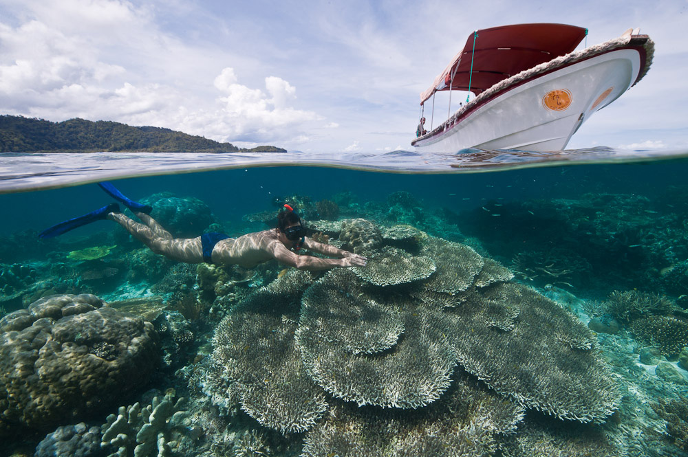 Don’t Dive? Snorkeling Raja Ampat is Incredible Too!