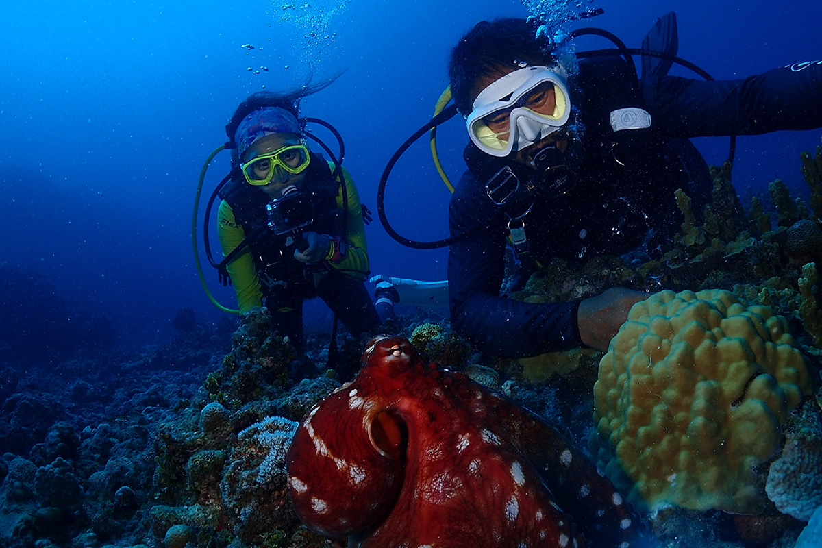 Diving Raja Ampat with Gangga Divers at Papua Paradise Eco Resort